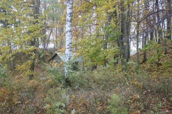  ( © Luděk Vláčil 10/2015)