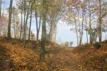  ( © Luděk Vláčil 10/2015)