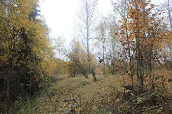  ( © Luděk Vláčil 10/2015)