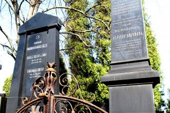 Židovský hřbitov Olomouc (© Pavel  Vlach, 04/2015)