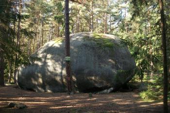 Dědek (© Martin Milichovský 09/2011)