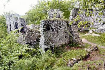 jižní část západního předhradí od východu ( © Pavel Zany Komárek 8/5/2004)