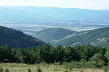  (© Pavel Semple, 08/2013)