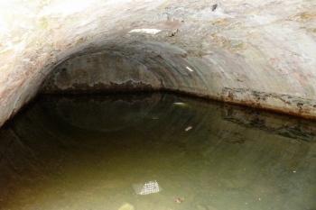  (© Pavel Semple, 08/2013)