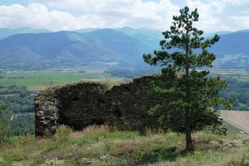  (© Pavel Semple, 08/2013)