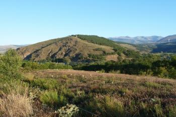  (© Pavel Semple, 08/2013)