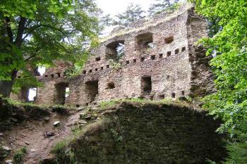 Pohled na torzo hradního paláce a část obvodového zdiva od severu (© Jan P. Štěpánek 08/2006)