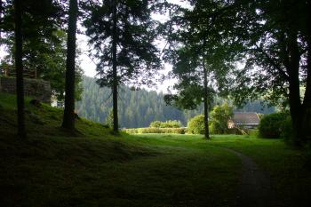 Dalečín - zřícenina hradu (© Pavel Jarý, 10.08.2009)