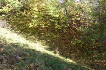 Šíjový příkop (© Jan Laurýn, 10/2007)