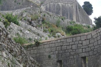  ( © Petra Poganyova 07/2014)