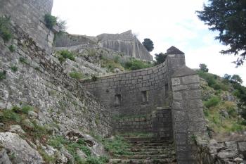  ( © Petra Poganyova 07/2014)