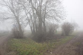 Někde v těchto místech, ještě zhruba před 40ti lety, se nacházel rybník, kde snad byly nalezeny zbytky tvrze. (© Luděk Vláčil 12/2015)