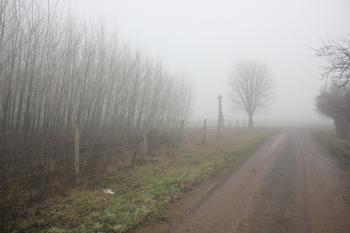 Někde v těchto místech se nacházel další rybník, kde snad byly nalezeny zbytky tvrze. (© Luděk Vláčil 12/2015)