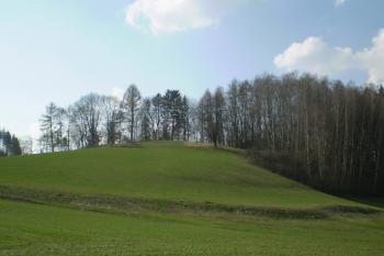 hrad Košťálov (© David Koral, 03/2010)
