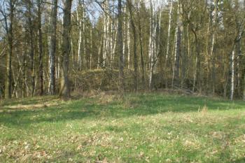 hrad Košťálov (© David Koral, 03/2010)