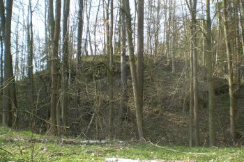 hrad Košťálov (© David Koral, 03/2010)