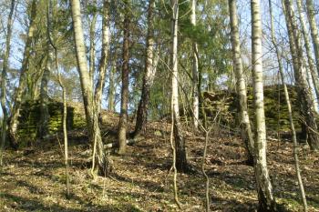 hrad Košťálov (© David Koral, 03/2010)