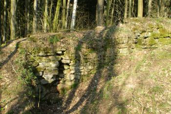 hrad Košťálov (© David Koral, 03/2010)