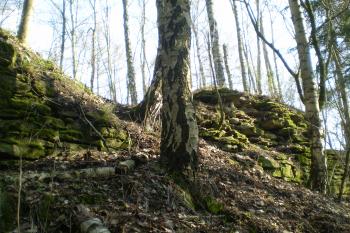 hrad Košťálov (© David Koral, 03/2010)