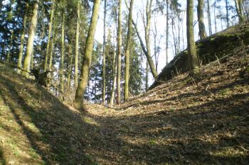 hrad Košťálov (© David Koral, 03/2010)