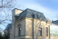 vila Friessů