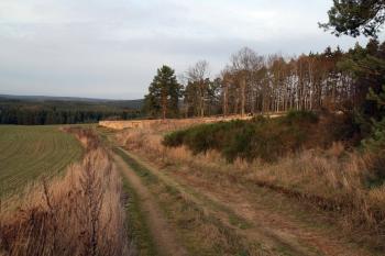 polní cesta vedoucí ke hřbitovu (© Stanislav Drda 12/2015)