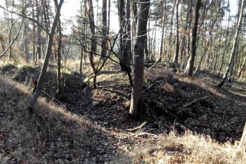 P/ohled na hradiště přes příkop od západu (© Prudký Martin, 12/2015)