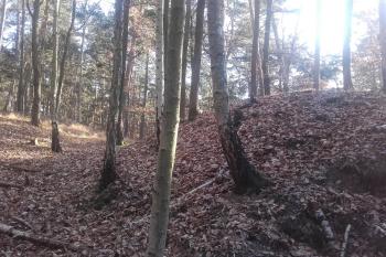 Vlevo val, vpravo hradiště (© Prudký Martin, 12/2015)
