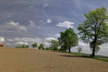 rozhledna U borovice ( © Radovan Smokoň 05/2013)
