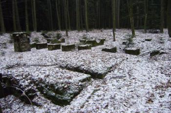 celkový pohled na základy pily od jihozápadu (© jiri  doležal, 01/2016)