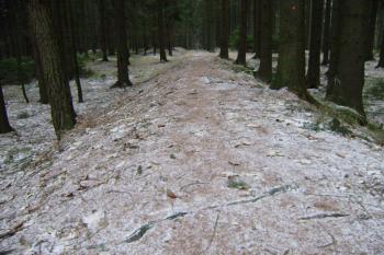 těleso úzkokolejky těsně  nad pilou (© jiri  doležal, 01/2016)