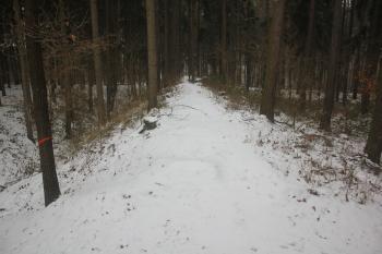  ( © Luděk Vláčil 01/2016)