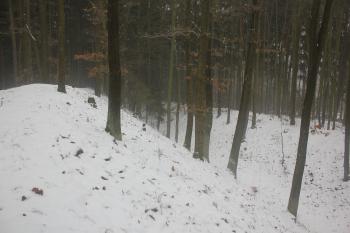  ( © Luděk Vláčil 01/2016)