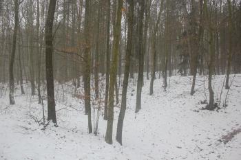  ( © Luděk Vláčil 01/2016)