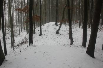  ( © Luděk Vláčil 01/2016)