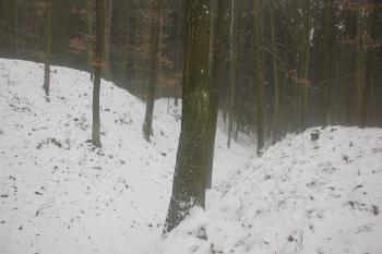  ( © Luděk Vláčil 01/2016)
