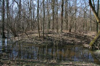 Centrální pahorek s příkopem ( © Petr Nožička 03/2012)