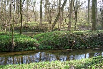 Terénní pozůstatky po tvrzi Kalthaus (© Adam Prokeš 05/2006)