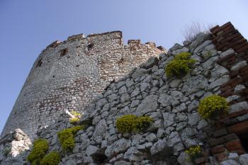  (© Michal Brůža, 04/2011)