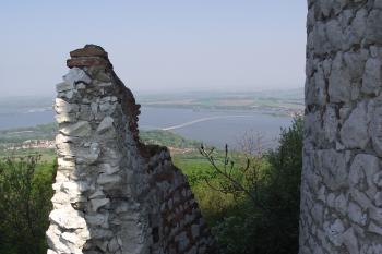  (© Michal Brůža, 04/2011)