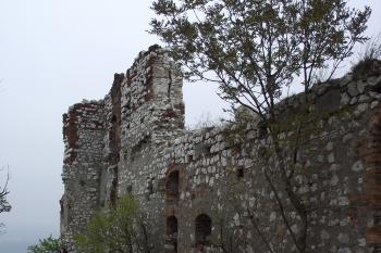  (© Michal Brůža, 10/2011)