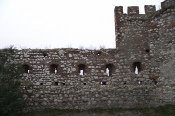  (© Michal Brůža, 10/2011)