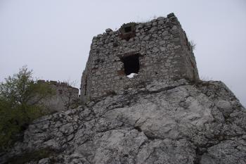  (© Michal Brůža, 10/2011)