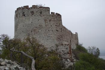  (© Michal Brůža, 10/2011)