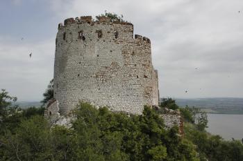  (© Luděk Vláčil, 06/2013)