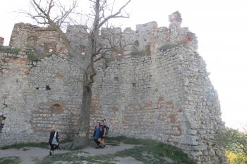 polokruhové zakončení hradební zdi na sz. (© D Dohňanský, 10/2018)