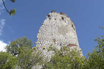  ( © Radovan Smokoň 05/2008)
