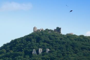 pohled na hrad Děvíčky ze Strachotína ( © Jan P. Štěpánek 07/2008)