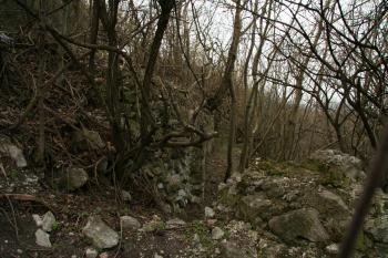 Fotka vnější zdi schované v letě v hustém porostu (© Petr Nožička, 3/2008)