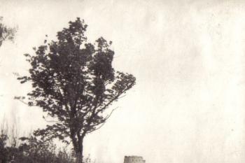 Děvičky - fotografie neznámého autora z počátku 20.století (soukr.sbírka IvoR) ( © anon.)